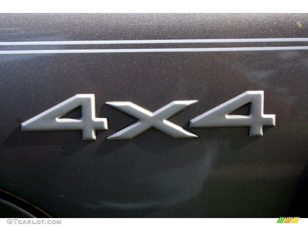 1999 Grand Cherokee Limited 4x4 - Bright Platinum Metallic / Agate photo #31