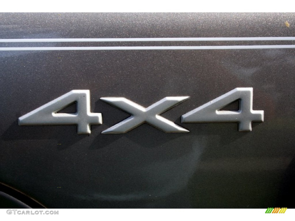 1999 Grand Cherokee Limited 4x4 - Bright Platinum Metallic / Agate photo #32