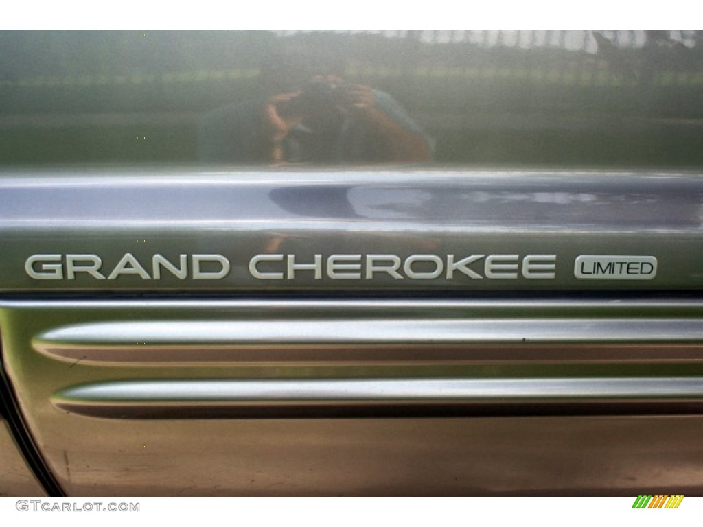 1999 Grand Cherokee Limited 4x4 - Bright Platinum Metallic / Agate photo #56