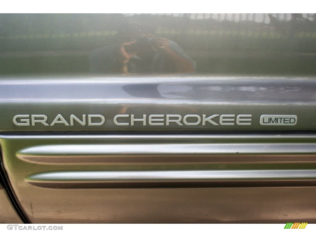 1999 Grand Cherokee Limited 4x4 - Bright Platinum Metallic / Agate photo #57