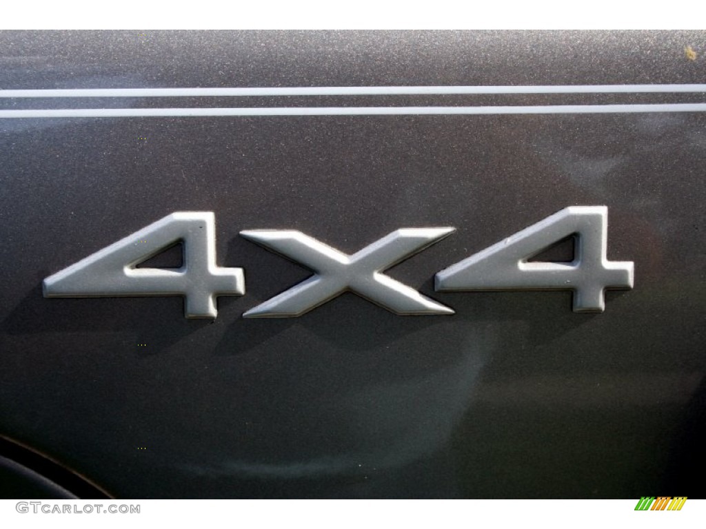 1999 Grand Cherokee Limited 4x4 - Bright Platinum Metallic / Agate photo #86