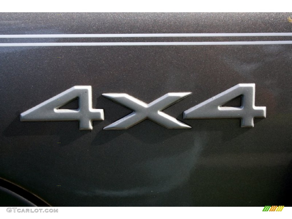 1999 Grand Cherokee Limited 4x4 - Bright Platinum Metallic / Agate photo #87