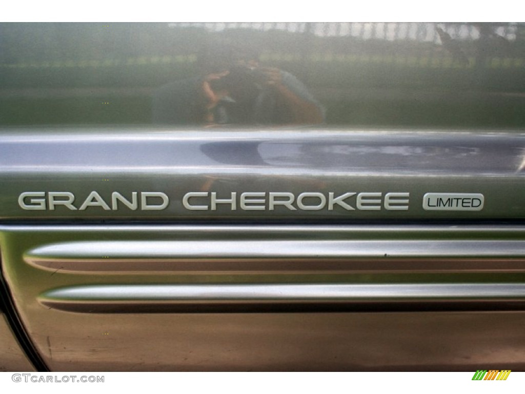 1999 Grand Cherokee Limited 4x4 - Bright Platinum Metallic / Agate photo #97