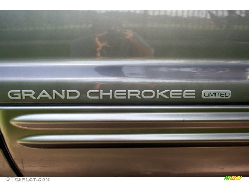 1999 Grand Cherokee Limited 4x4 - Bright Platinum Metallic / Agate photo #98