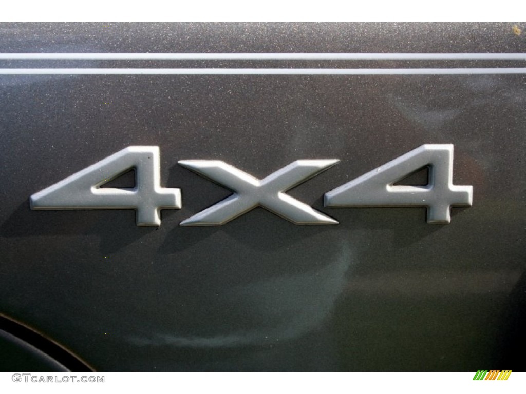 1999 Grand Cherokee Limited 4x4 - Bright Platinum Metallic / Agate photo #100
