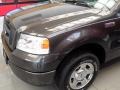 2005 Dark Shadow Grey Metallic Ford F150 STX Regular Cab  photo #2