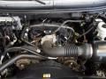4.2 Liter OHV 12V Essex V6 2005 Ford F150 STX Regular Cab Engine