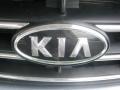 Ice Blue - Sorento LX Photo No. 24