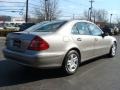 Pewter Metallic - E 320 CDI Sedan Photo No. 4