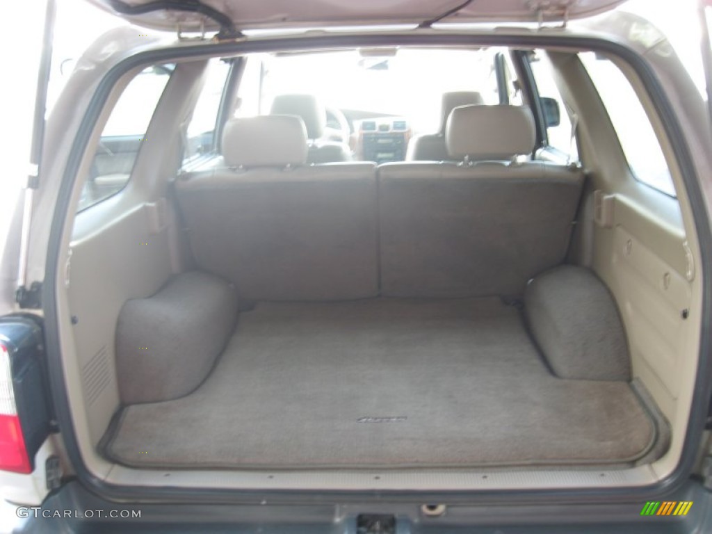 1999 4Runner Limited 4x4 - Desert Dune Metallic / Oak photo #14