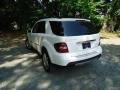 Arctic White - ML 320 CDI 4Matic Photo No. 5