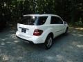 Arctic White - ML 320 CDI 4Matic Photo No. 7