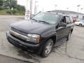 Black - TrailBlazer LS 4x4 Photo No. 5