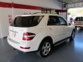 Arctic White - ML 320 BlueTec 4Matic Photo No. 4