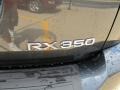 Smokey Granite - RX 350 AWD Photo No. 7