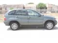 Highland Green Metallic - X5 3.0i Photo No. 2