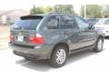 Highland Green Metallic - X5 3.0i Photo No. 3