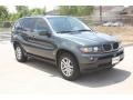 Highland Green Metallic - X5 3.0i Photo No. 8