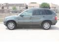 Highland Green Metallic - X5 3.0i Photo No. 13