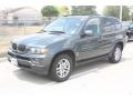 Highland Green Metallic - X5 3.0i Photo No. 14