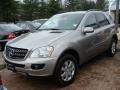 Pewter Metallic - ML 350 4Matic Photo No. 1