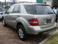 Pewter Metallic - ML 350 4Matic Photo No. 6