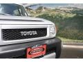 Titanium Metallic - FJ Cruiser 4WD Photo No. 23