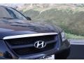 Ebony Black - Sonata GLS V6 Photo No. 22