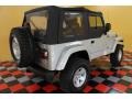 2002 Bright Silver Metallic Jeep Wrangler X 4x4  photo #4