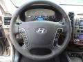 Beige Steering Wheel Photo for 2012 Hyundai Santa Fe #53382158