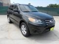 2012 Black Forest Green Hyundai Santa Fe GLS  photo #1