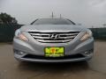 Iridescent Silver Blue Metallic - Sonata SE Photo No. 9