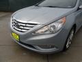 Iridescent Silver Blue Metallic - Sonata SE Photo No. 11