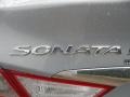 Iridescent Silver Blue Metallic - Sonata SE Photo No. 20