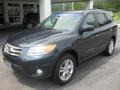 2012 Pacific Blue Pearl Hyundai Santa Fe Limited  photo #2