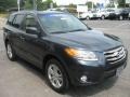 2012 Pacific Blue Pearl Hyundai Santa Fe Limited  photo #4