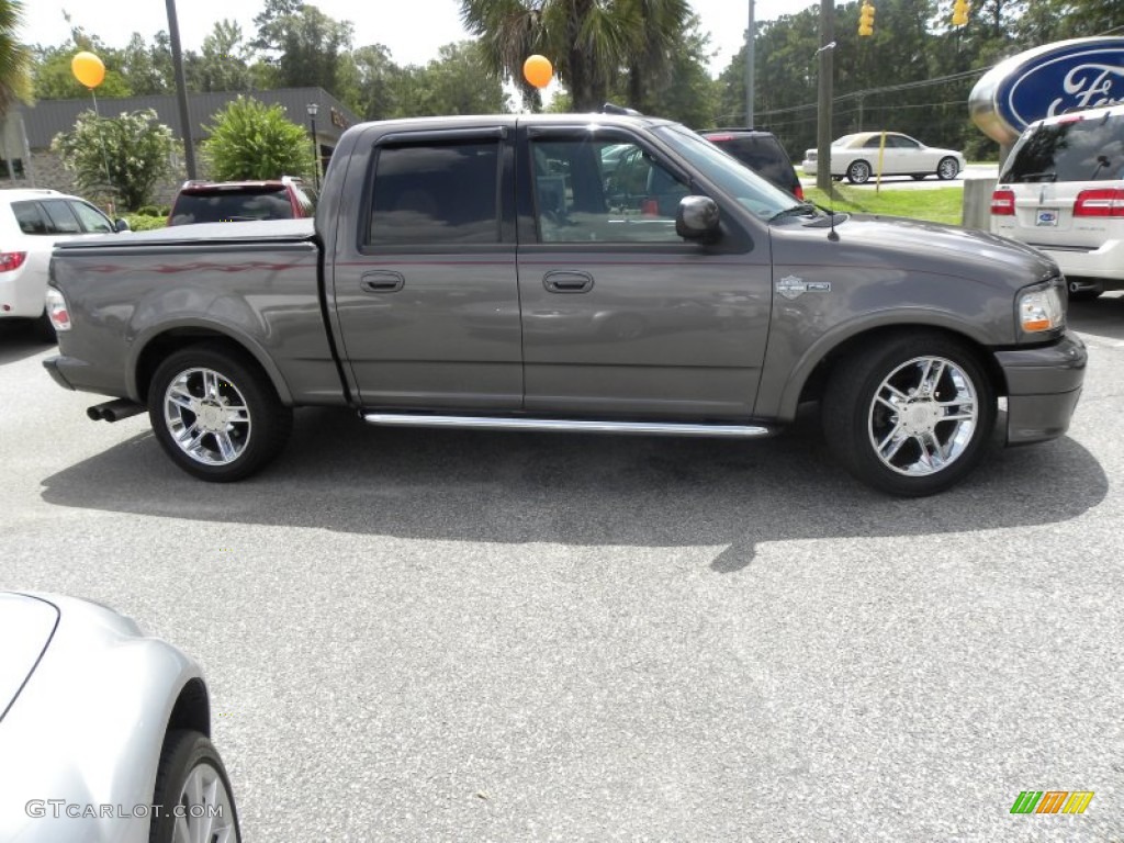 2002 F150 Harley-Davidson SuperCrew - Dark Shadow Grey Metallic / Black/Grey photo #14