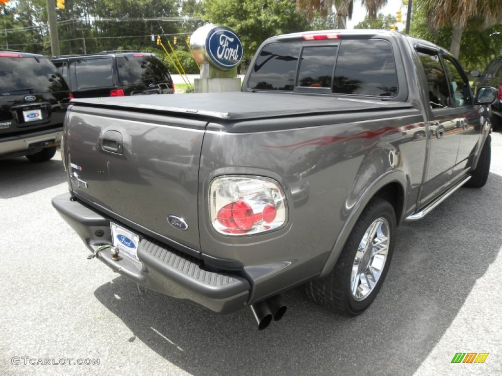 2002 F150 Harley-Davidson SuperCrew - Dark Shadow Grey Metallic / Black/Grey photo #15