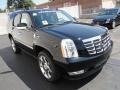 Black Raven - Escalade Premium AWD Photo No. 3