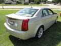 Gold Mist - CTS Sedan Photo No. 4