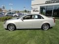Gold Mist - CTS Sedan Photo No. 7