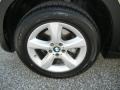 Platinum Bronze Metallic - X5 3.0si Photo No. 11
