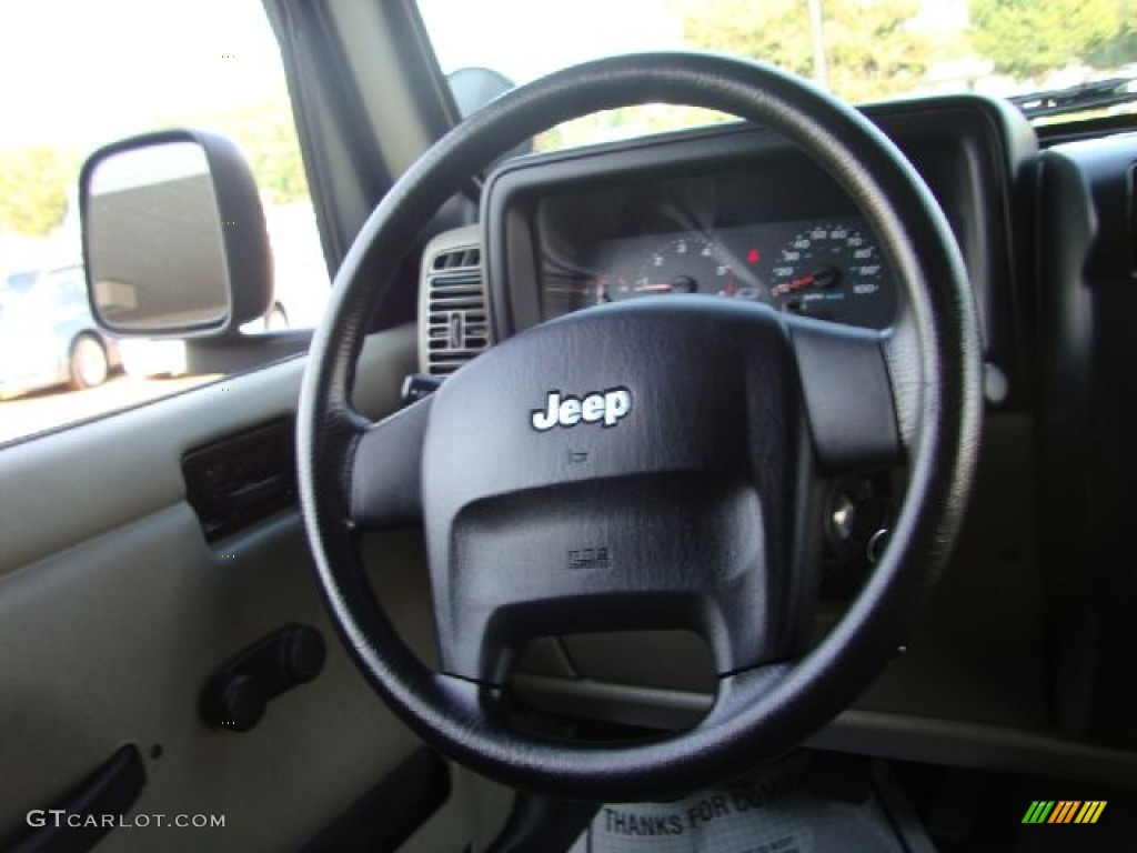 2006 Wrangler Sport 4x4 - Jeep Green Metallic / Dark Slate Gray photo #22