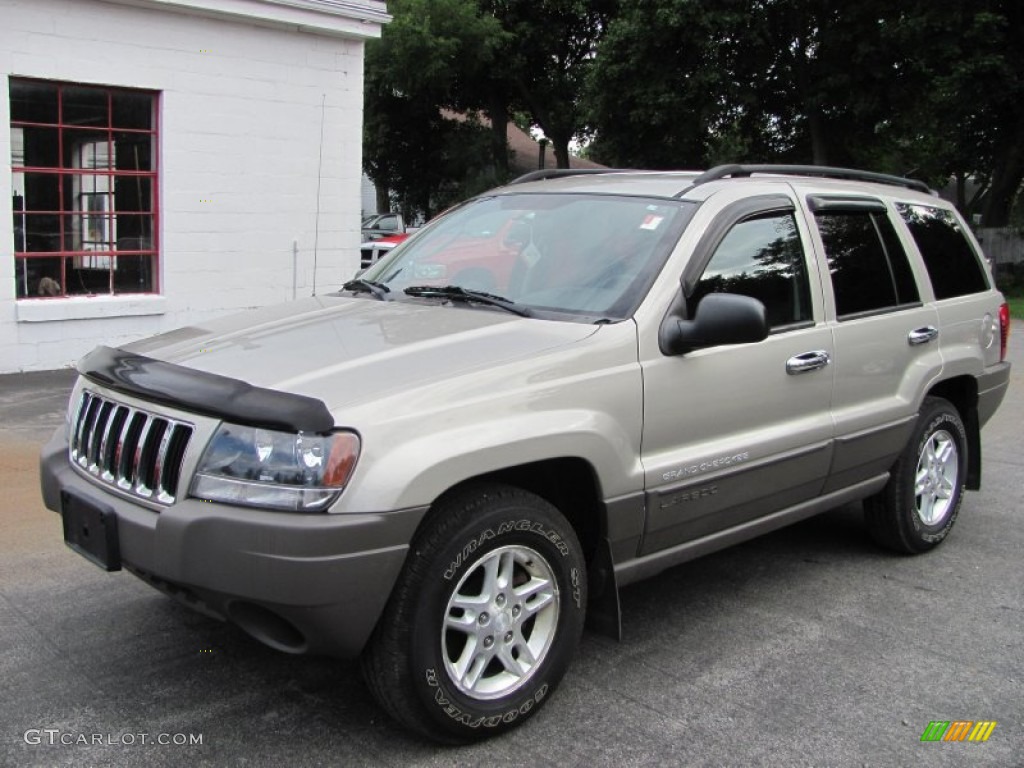 2004 Grand Cherokee Laredo 4x4 - Light Pewter Metallic / Dark Slate Gray photo #1