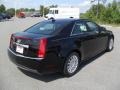 Black Raven - CTS 3.0 Sedan Photo No. 4