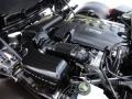 Black Onyx - Sky Roadster Photo No. 19