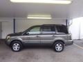 Amazon Green Metallic - Pilot EX 4WD Photo No. 27