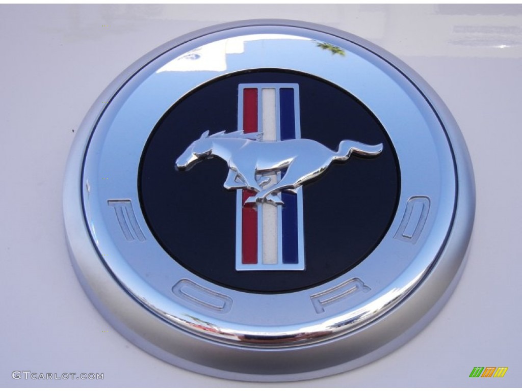2011 Mustang V6 Premium Coupe - Performance White / Stone photo #9