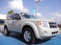 2008 Light Sage Metallic Ford Escape XLT  photo #7