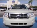 2008 Light Sage Metallic Ford Escape XLT  photo #8